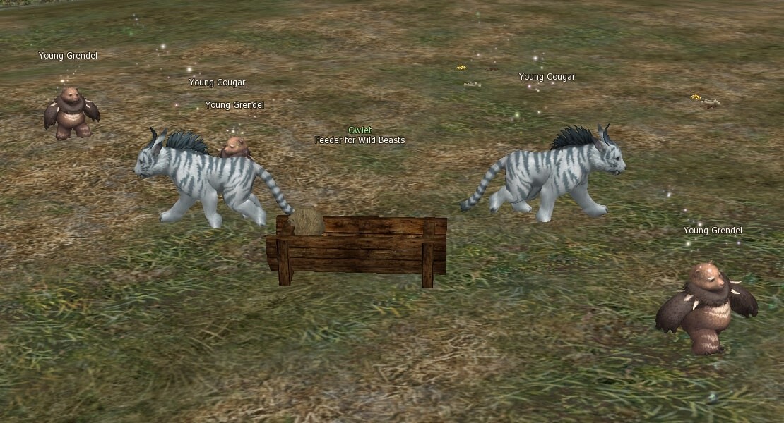 Feeder for Wild Beasts eternal