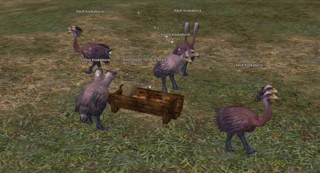 Rare Feeder for Wild Beasts eternal