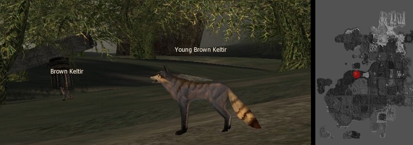 Keltir mw