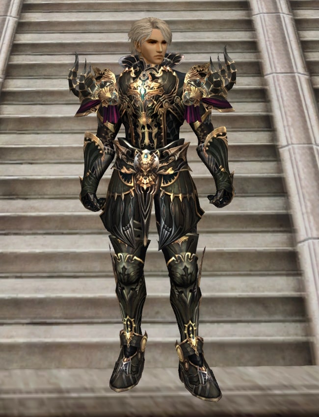 Eternal Peerless heavy armor set eternal