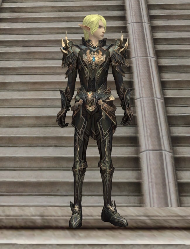 Eternal Peerless leather armor set eternal