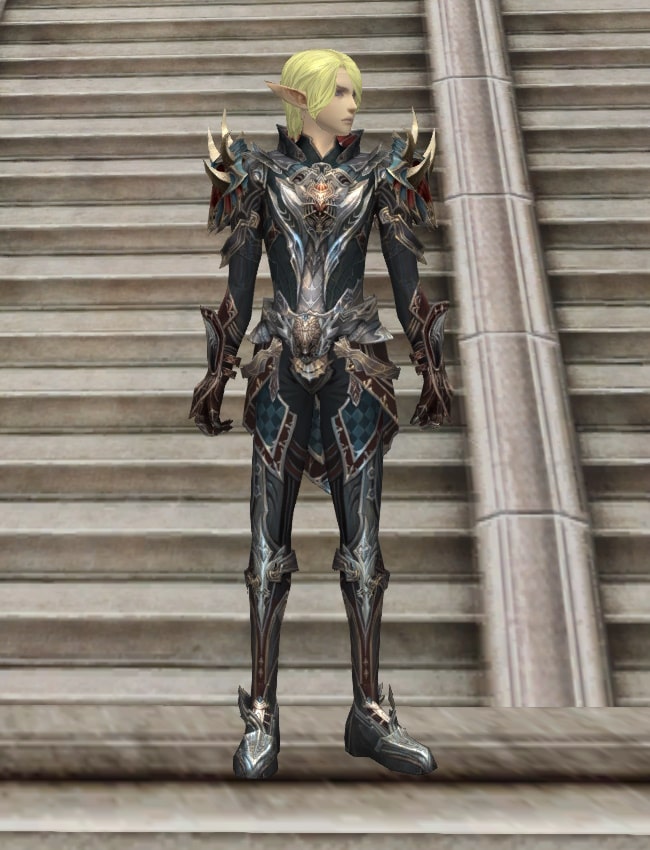 Eternal Perfect leather armor set eternal