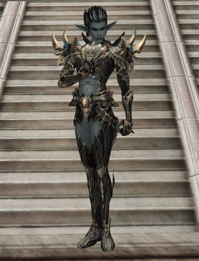 Eternal Peerless leather armor set eternal