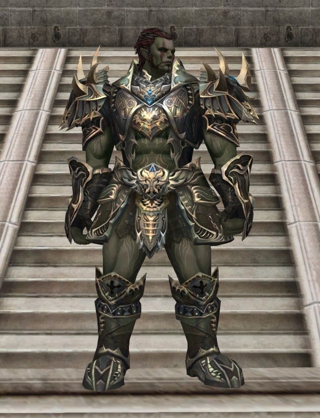 Eternal Peerless leather armor set eternal