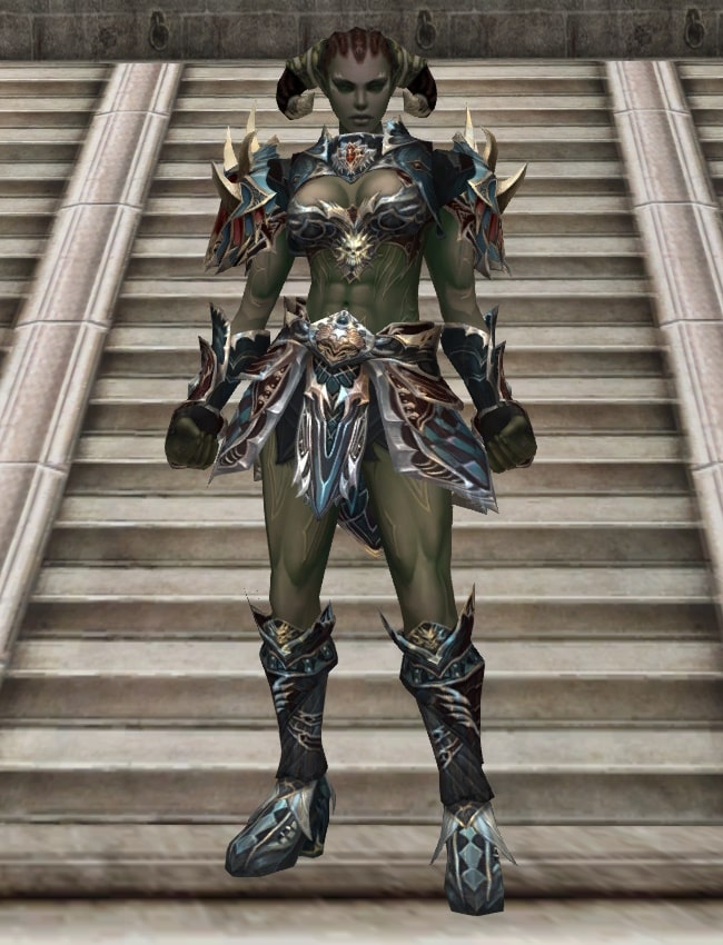 Eternal Perfect leather armor set eternal