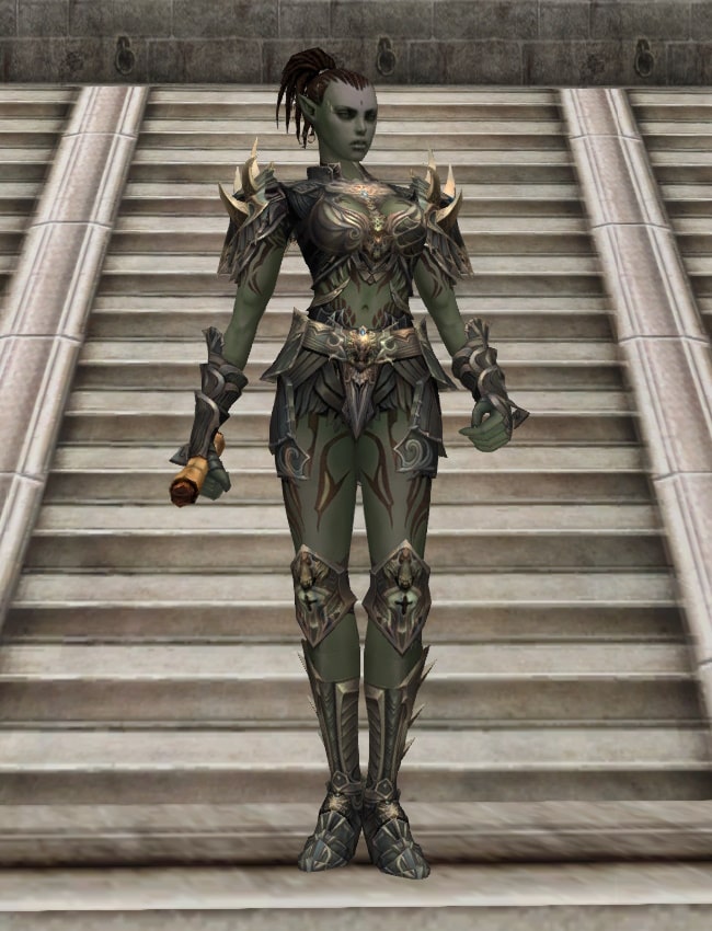 Eternal Peerless leather armor set eternal