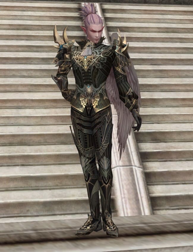 Eternal Peerless leather armor set eternal
