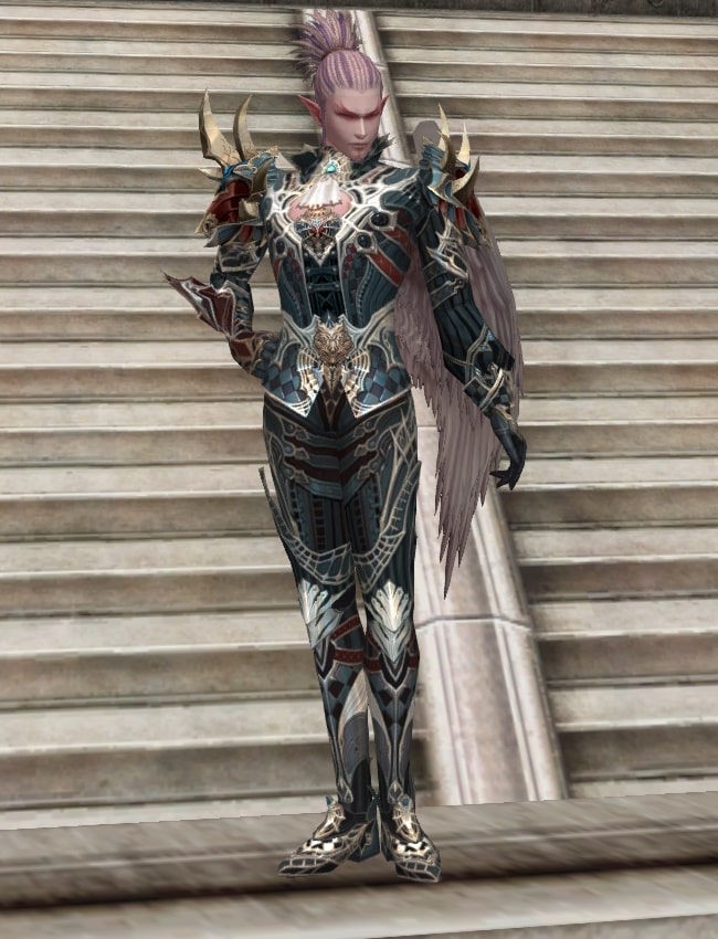 Eternal Perfect leather armor set eternal