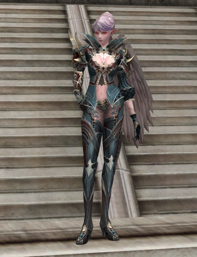 Eternal Perfect leather armor set eternal