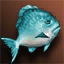 Small Jade Fat Fish - Upper Grade