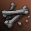 Arm Bone