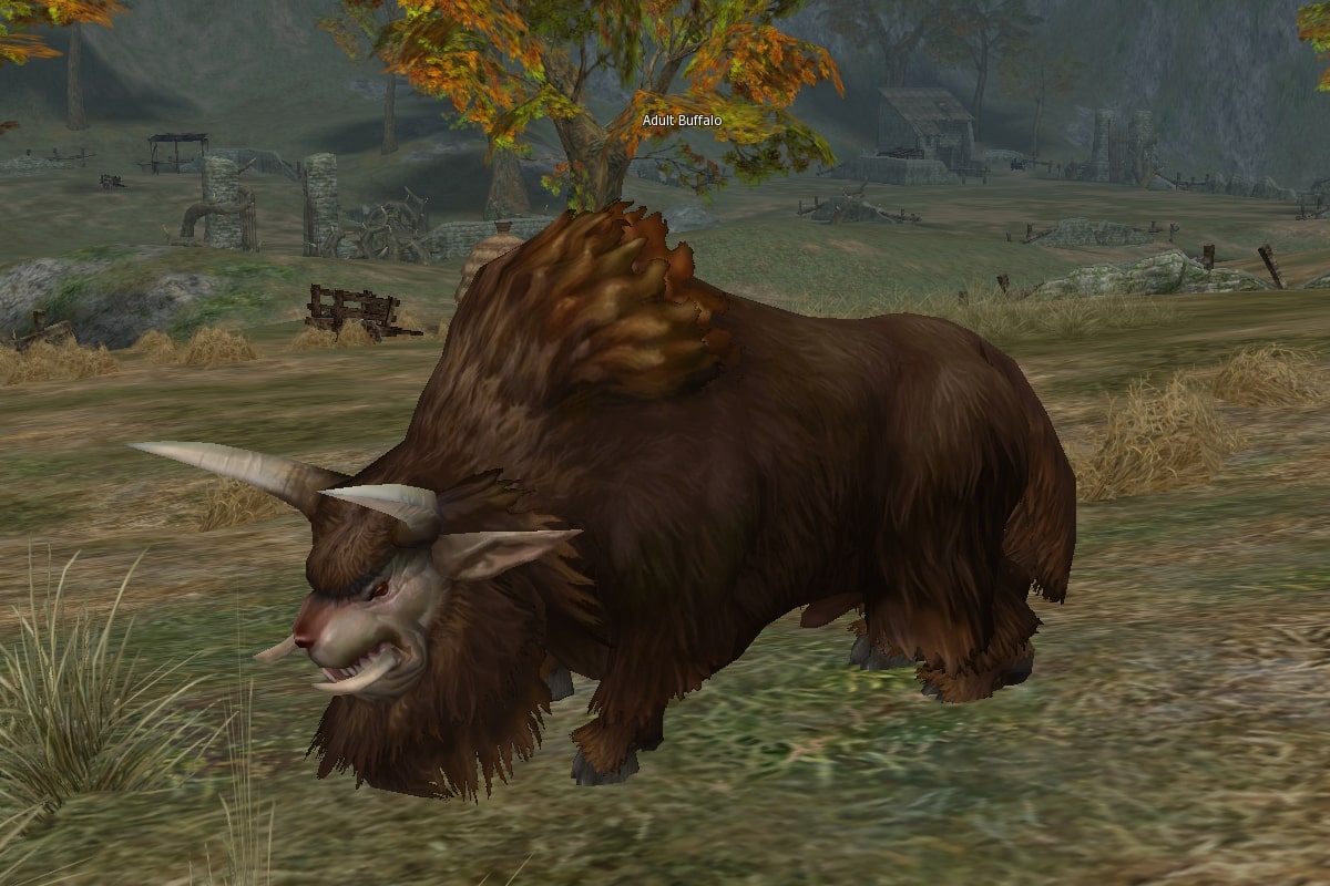 Adult Buffalo eternal