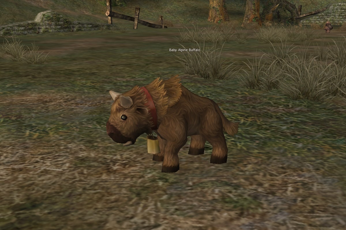 Baby Alpine Buffalo eternal