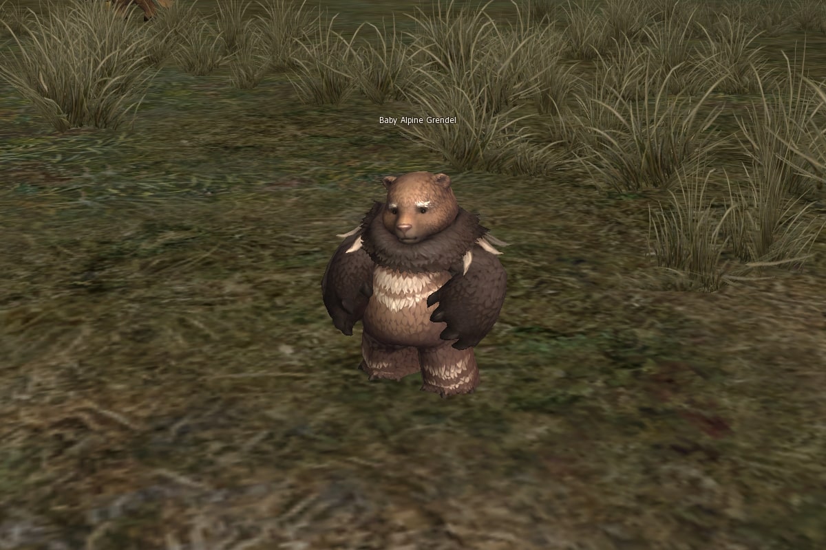Baby Alpine Grendel eternal