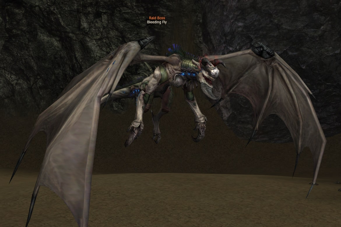 Bleeding Fly eternal