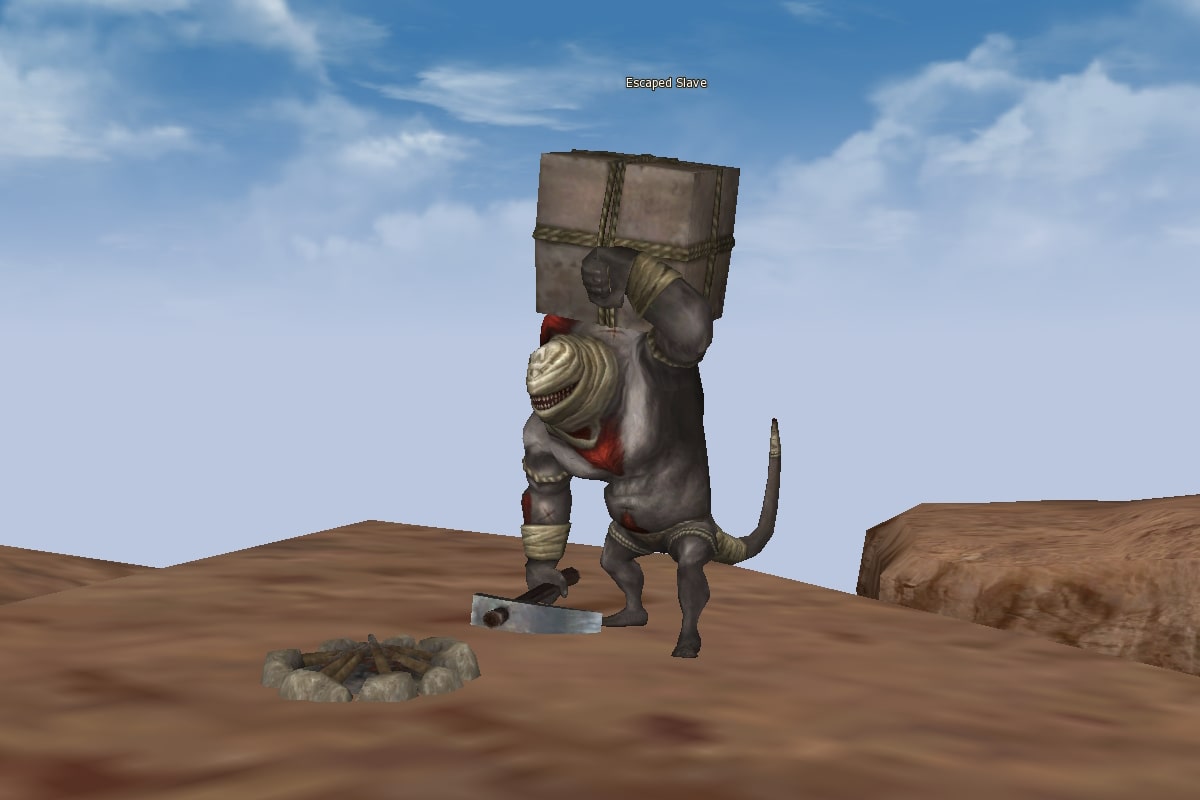 Escaped Slave mw