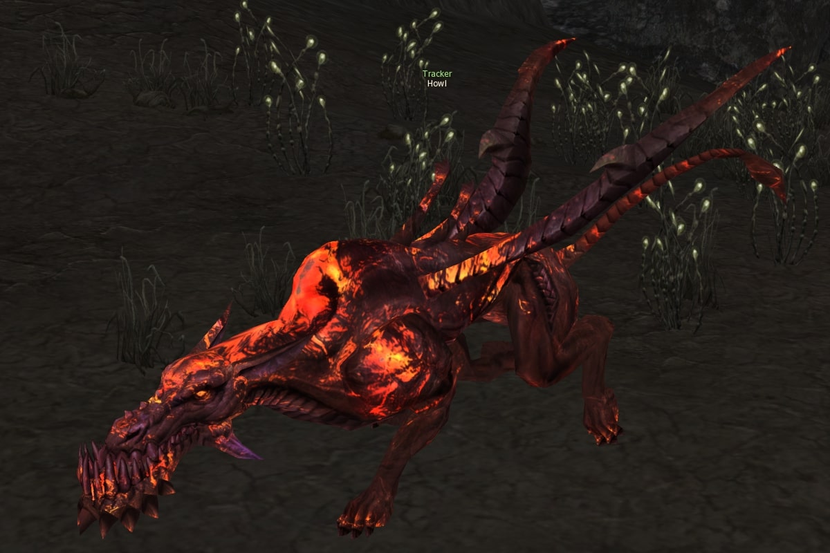 Howl eternal