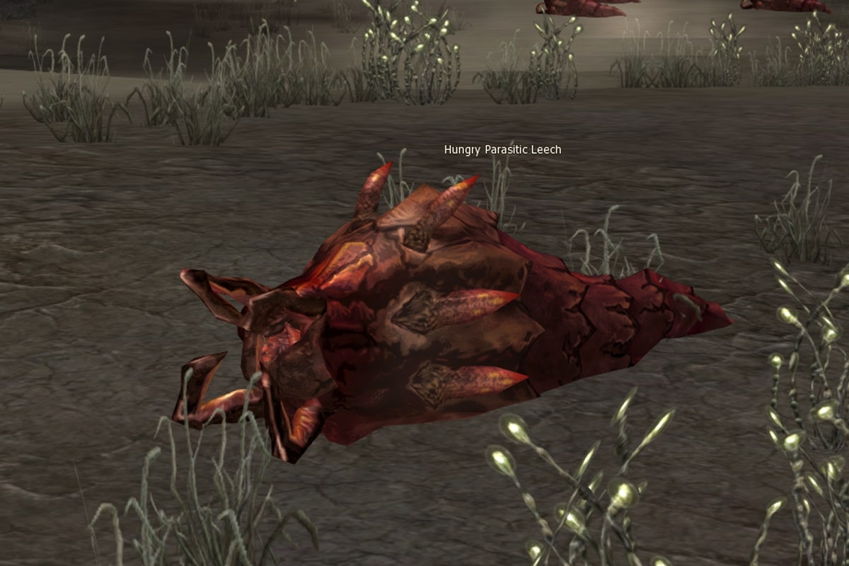 Hungry Parasitic Leech eternal