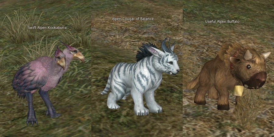 Tamed beast eternal