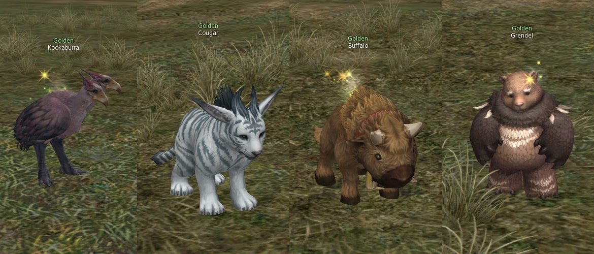 Golden beast eternal