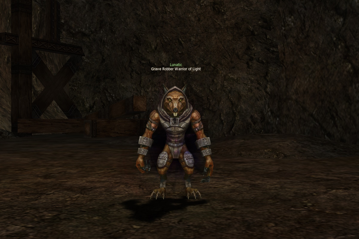 Grave Robber Warrior of Light eternal